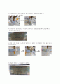 기기분석실습 pH측정 결과레포트 8페이지