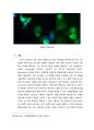 Immunostaining(면역염색법) 결과레포트 7페이지