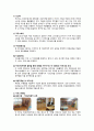 홍은종합사회복지관 운영사례 레포트 5페이지