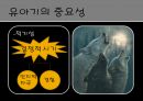 유아기의 특징 발표 자료 11페이지