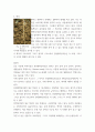 식용작물학2 ) 옥수수와 콩의 잎, 줄기, 뿌리 내부구조의 공통점과 차이점을 설명하시오 5페이지