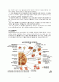 intracerebral hemorrhage(ICH) 케이스스터디 7페이지