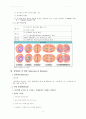 실험 11주차_생식세포분열의 관찰 결과 Report 5페이지