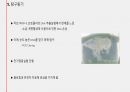 플라스미드와 클로닝, 그 응용인 유전자치료에 관하여 / 고급생명과학 발표자료 3페이지
