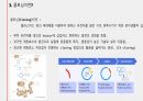 플라스미드와 클로닝, 그 응용인 유전자치료에 관하여 / 고급생명과학 발표자료 9페이지