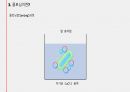 플라스미드와 클로닝, 그 응용인 유전자치료에 관하여 / 고급생명과학 발표자료 13페이지