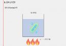 플라스미드와 클로닝, 그 응용인 유전자치료에 관하여 / 고급생명과학 발표자료 14페이지
