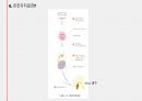 플라스미드와 클로닝, 그 응용인 유전자치료에 관하여 / 고급생명과학 발표자료 24페이지