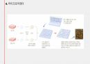 플라스미드와 클로닝, 그 응용인 유전자치료에 관하여 / 고급생명과학 발표자료 26페이지