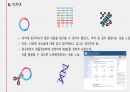 플라스미드와 클로닝, 그 응용인 유전자치료에 관하여 / 고급생명과학 발표자료 28페이지