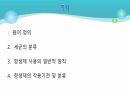 의과대 학생이 작성한 항생제 관련 자료(세균 종류/분류, 항생제 사용,일반적원칙,항생제 작용기전) 2페이지