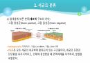 의과대 학생이 작성한 항생제 관련 자료(세균 종류/분류, 항생제 사용,일반적원칙,항생제 작용기전) 5페이지