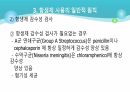 의과대 학생이 작성한 항생제 관련 자료(세균 종류/분류, 항생제 사용,일반적원칙,항생제 작용기전) 10페이지