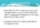 의과대 학생이 작성한 항생제 관련 자료(세균 종류/분류, 항생제 사용,일반적원칙,항생제 작용기전) 15페이지
