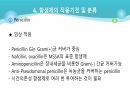 의과대 학생이 작성한 항생제 관련 자료(세균 종류/분류, 항생제 사용,일반적원칙,항생제 작용기전) 25페이지