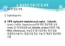 의과대 학생이 작성한 항생제 관련 자료(세균 종류/분류, 항생제 사용,일반적원칙,항생제 작용기전) 27페이지