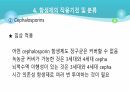 의과대 학생이 작성한 항생제 관련 자료(세균 종류/분류, 항생제 사용,일반적원칙,항생제 작용기전) 31페이지