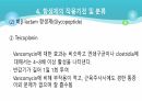 의과대 학생이 작성한 항생제 관련 자료(세균 종류/분류, 항생제 사용,일반적원칙,항생제 작용기전) 39페이지