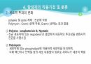의과대 학생이 작성한 항생제 관련 자료(세균 종류/분류, 항생제 사용,일반적원칙,항생제 작용기전) 40페이지
