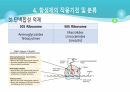 의과대 학생이 작성한 항생제 관련 자료(세균 종류/분류, 항생제 사용,일반적원칙,항생제 작용기전) 42페이지