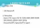의과대 학생이 작성한 항생제 관련 자료(세균 종류/분류, 항생제 사용,일반적원칙,항생제 작용기전) 45페이지