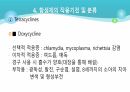 의과대 학생이 작성한 항생제 관련 자료(세균 종류/분류, 항생제 사용,일반적원칙,항생제 작용기전) 46페이지