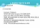 의과대 학생이 작성한 항생제 관련 자료(세균 종류/분류, 항생제 사용,일반적원칙,항생제 작용기전) 49페이지