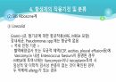 의과대 학생이 작성한 항생제 관련 자료(세균 종류/분류, 항생제 사용,일반적원칙,항생제 작용기전) 50페이지