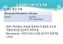 의과대 학생이 작성한 항생제 관련 자료(세균 종류/분류, 항생제 사용,일반적원칙,항생제 작용기전) 51페이지