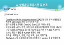 의과대 학생이 작성한 항생제 관련 자료(세균 종류/분류, 항생제 사용,일반적원칙,항생제 작용기전) 54페이지