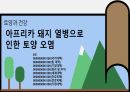 지역 0조 토양오염 1페이지