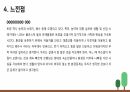지역 0조 토양오염 25페이지