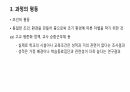교육평등과 교육불평등에 대한 입장 4페이지