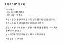 르네상스 시대의 교육에 대해 7페이지