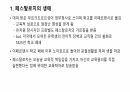 페스탈로치의 교육사상 3페이지