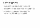 피터스와 허스트의 교육관 8페이지