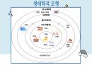 청년기 발달이론 28페이지
