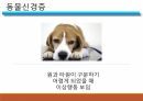 [A+자료] 정신병리를 이해하는 관점 PPT 발표 자료 (심리학 전공) 17페이지