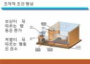 [A+자료] 정신병리를 이해하는 관점 PPT 발표 자료 (심리학 전공) 18페이지