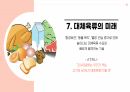 대체육류의 현황과 향후 미래 예측 13페이지