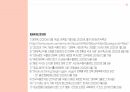 대체육류의 현황과 향후 미래 예측 14페이지