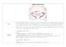 대뇌동맥경색 (cerebral artery infraction) Case study 29페이지