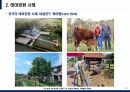 농수산경영회계 미래 농업사회 - 농수산경영회계 - 미래 농업사회 소개, 테마공원 사례, 치유산업 8페이지
