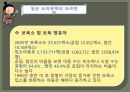유아교육정책론-일본의 유아교육 및 보육정책 13페이지