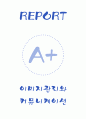 [이미지관리와 커뮤니케이션 중간고사 과제 A+] 1페이지