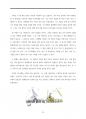 다윗의 일생(교육용) 31페이지