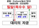 역사의 연구.PPT 9페이지