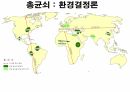 역사의 연구.PPT 39페이지