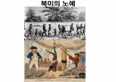 역사의 연구.PPT 68페이지