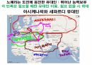 역사의 연구.PPT 75페이지